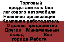 Торговый представитель без легкового автомобиля › Название организации ­ Компания-работодатель › Отрасль предприятия ­ Другое › Минимальный оклад ­ 30 000 - Все города Работа » Вакансии   . Мордовия респ.